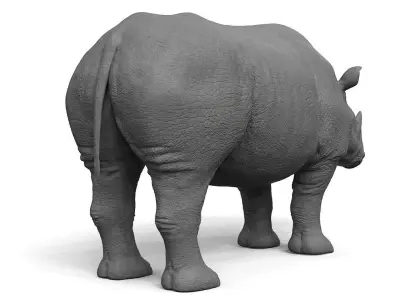 High Res Rhino 3D model
