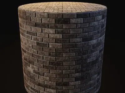 Sonoran Desert King Running and Stack Bricks Texture Texture