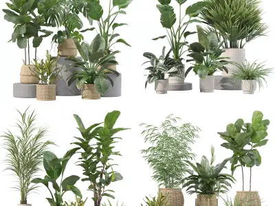 20 Photorealistic Flowers for Interiors - set 204 207 209 214 3D Model Collection