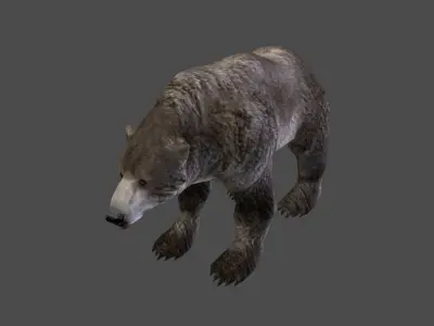 Next Gen AAA Black Grizzly Bear - game model Low-poly 3D model