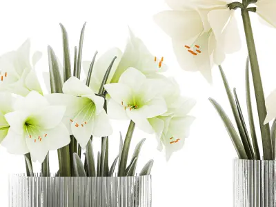 Set Of Bouquets Of White Flowers Hippeastrum Vase 372 3D model