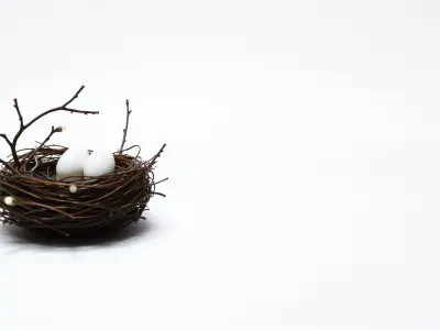 Bird Nest Lamp with LED Branches and Egg Bulbs Low-poly 3D model