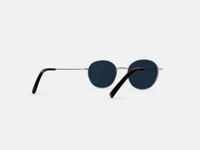 Merrick Sunglasses in Polished Silver 3D model