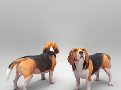 Walking dog 27 Low-poly 3D model