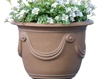 Flowerbed Petunia flowers plant  Luxury garden pots  3D model