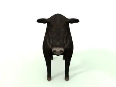 Wild Pig Low-poly 3D model