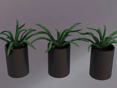  indoor pot plant Low-poly 3D model