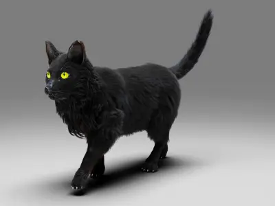 Fur Cat Black Rigged in Blender Low-poly 3D model