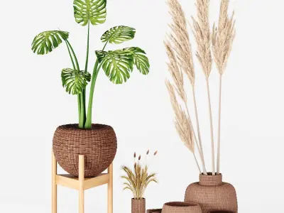 set vases-No3- wicker Vase 3D model