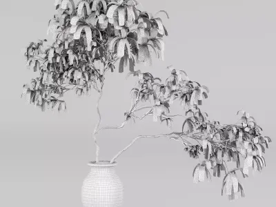 Tree in clay pot 3D model