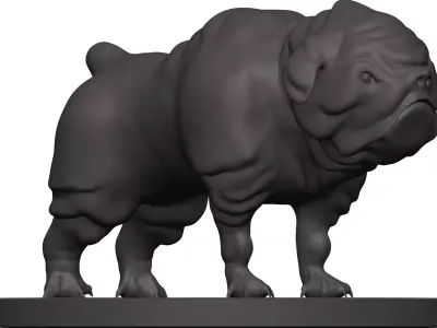 Bulldog pug 3D model