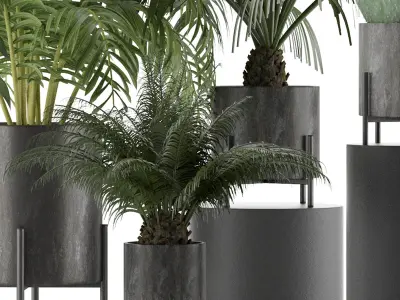 Plants Collection 28 3D model