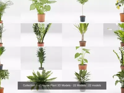 Collection-1 of House Plant 3D Models - 22 Models