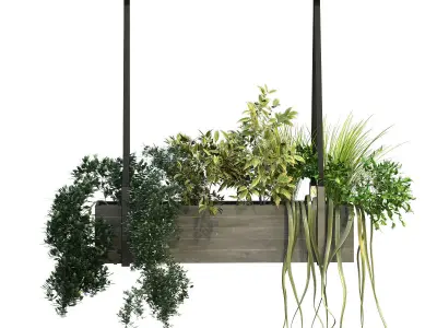 Indoor celling plant box set 197 3D model