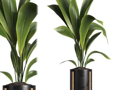 indoor plant 42 3D model