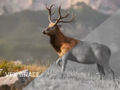 Male Deer with 5 Animations  VFX Grace 3D model