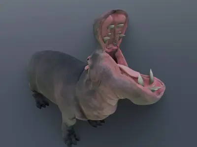 Animated hippopotamus 3D Model Low-poly 3D model