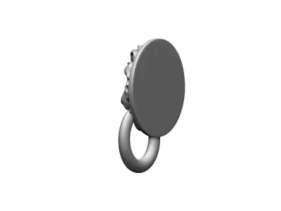 Animal head Lion Door Decoration 3D print model