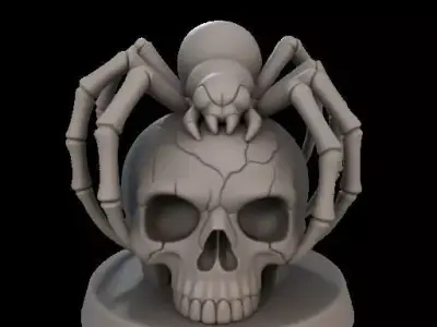 Spider on Skull 3D print model
