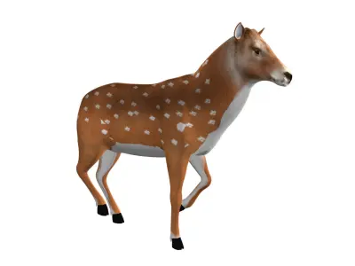 Deer Rigged and Animated 3D model