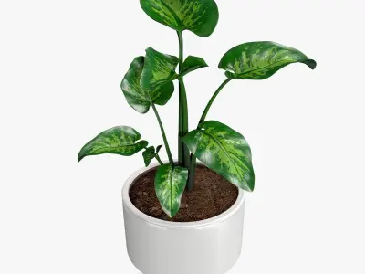 Interior Tropical Plants Vol 2 Chinese Palm Tropic Snow Bamboo Low-poly 3D model