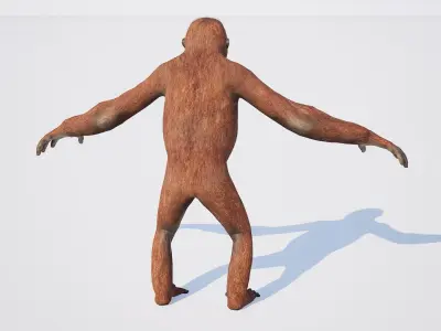 Orangutan 3D model