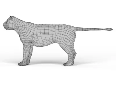 Lion Base Mesh Low-poly 3D model