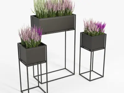 Calluna three metal planters with flowers 3D model