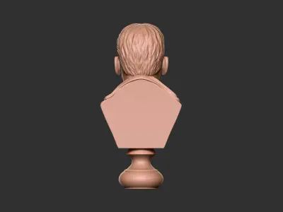 Ernest Shackleton Bust - 3D Print Model 3D print model