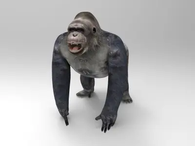 Gorilla  3D Models game ready low poly Low-poly 3D model