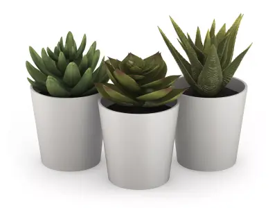 Small Fejka Plants 3D Models for Element 3D And Cinema 4D 3D model