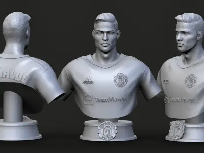 Ronaldo 3D Printable 2 3D print model