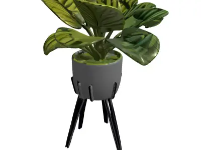 Modern Potted Houseplant with Metal Stand Low-poly 3D model