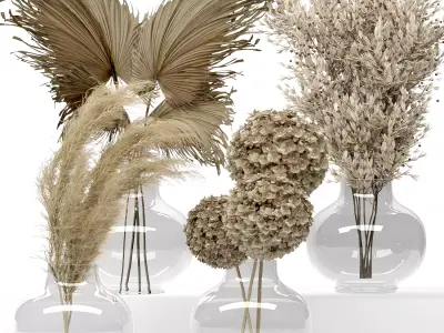Dry Flowers Set -09 3D model