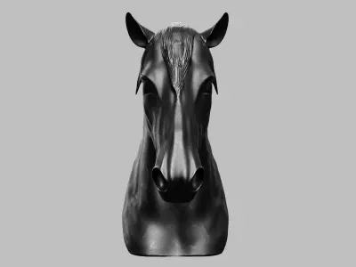 Equinus Sculpture 3D model