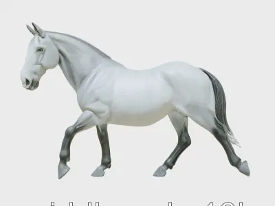 Regal Gray Percheron Horse 3D Model Low-poly 3D model