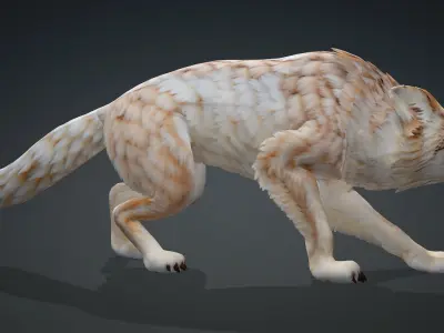 Wolf-A4 3D model