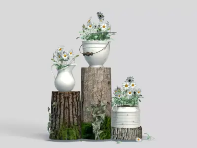 Garden Decor White Daisies 3D model