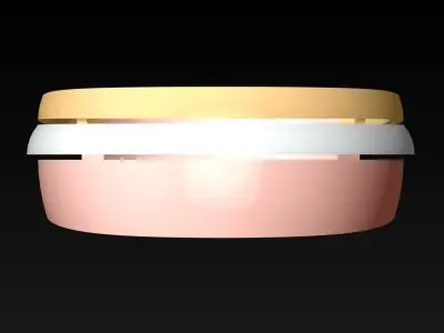 Ring N116300 3D print model