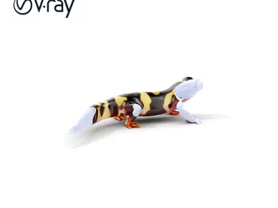 Colorful Salamander Model Pack Low-poly 3D model