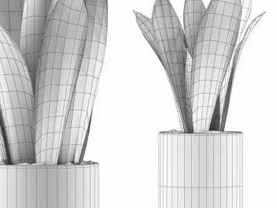 Plants Collection 98 3D model