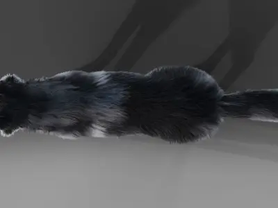 Fur Husky NO Rigged in Blender Low-poly 3D model