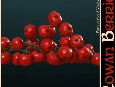 Rowan Berries 3D model