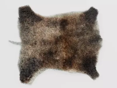 Animal Skin Rugs - Sheep Wolf Deer and Boar Hides 3D model