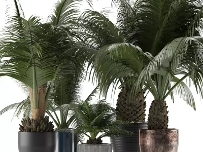 Plants Collection 16 3D model