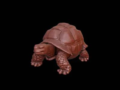 Tortoise Animal Sculpture 3D print model buy
