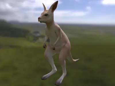 Kangaroo with 3 animations Low-poly 3D model