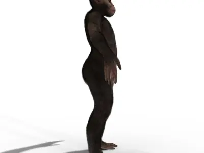 Ape Chimp Chimpanzee 3D model 3D model