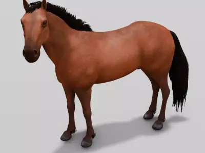 Horse 3D Model Low-poly 3D model