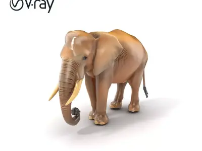 Elder Elephant Model Pack with Detailed Wrinkles Low-poly 3D model